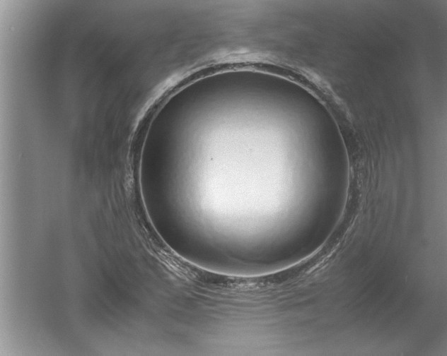 X0000052551167200507152152