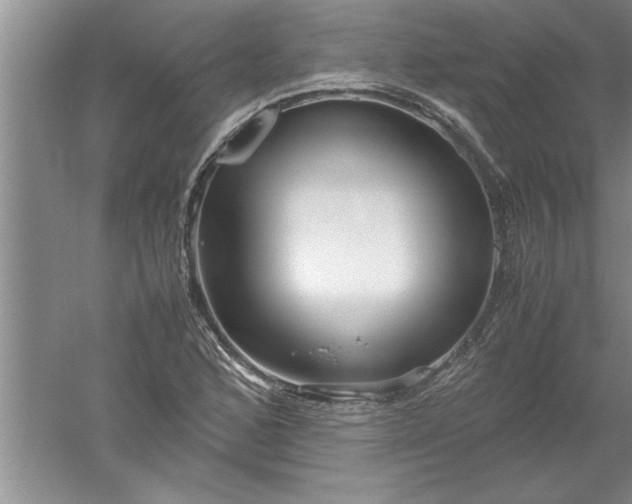 X0000052551168200507152152