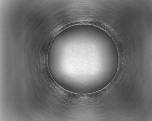 X0000052551169200507152152