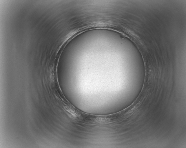 X0000052551170200507152152