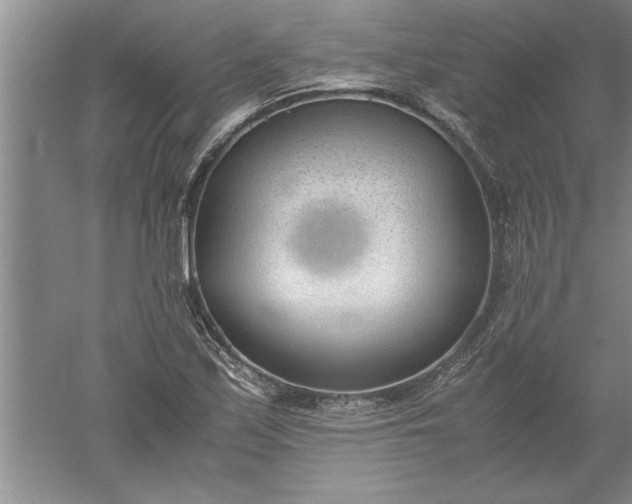 X0000052551171200507152152