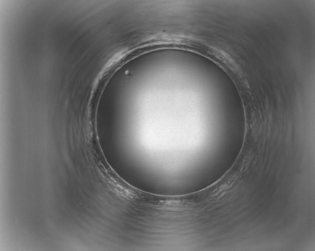 X0000052551172200507152152