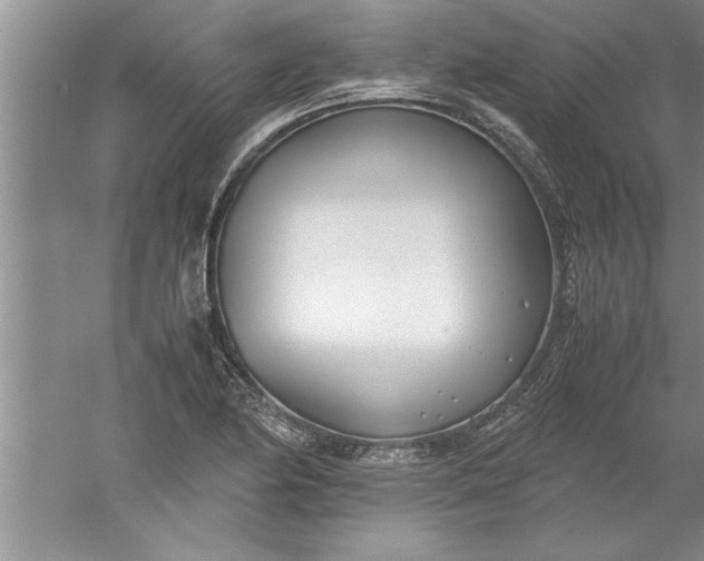 X0000052551174200507152152