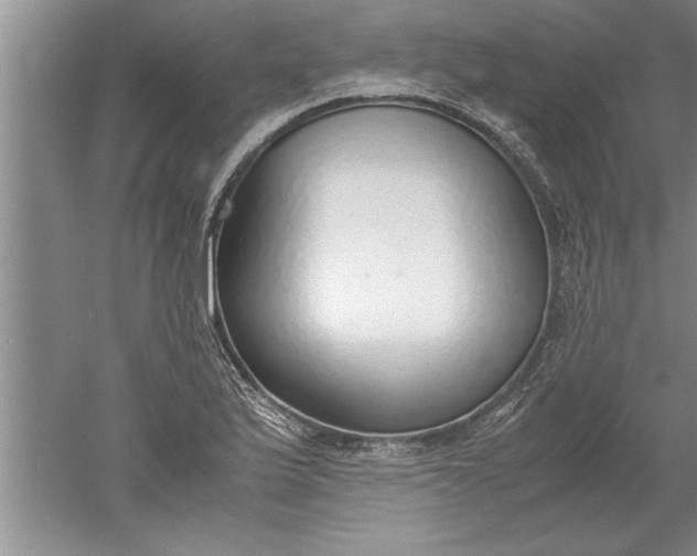 X0000052551175200507152152