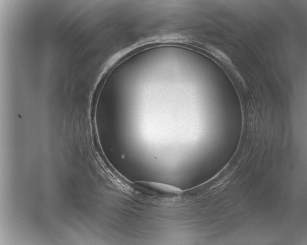 X0000052551176200507152152