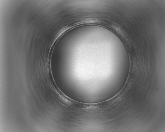 X0000052551178200507152152