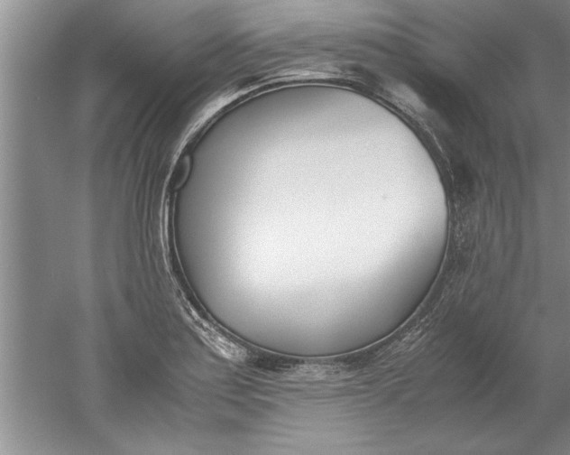 X0000052551179200507152152