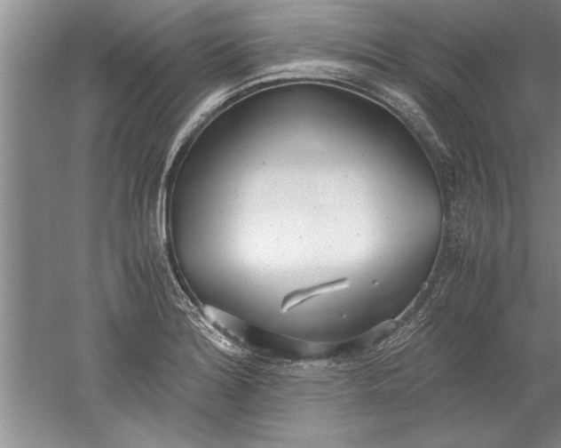 X0000052551180200507152152