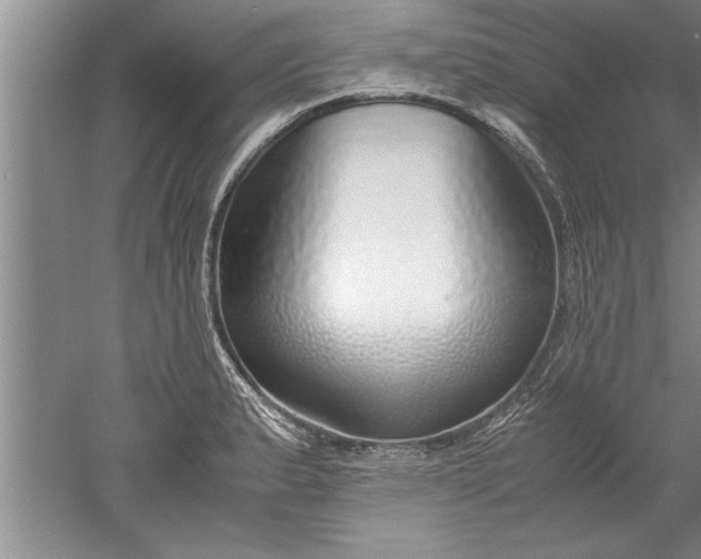 X0000052551183200507152152