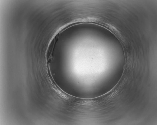 X0000052551184200507152152