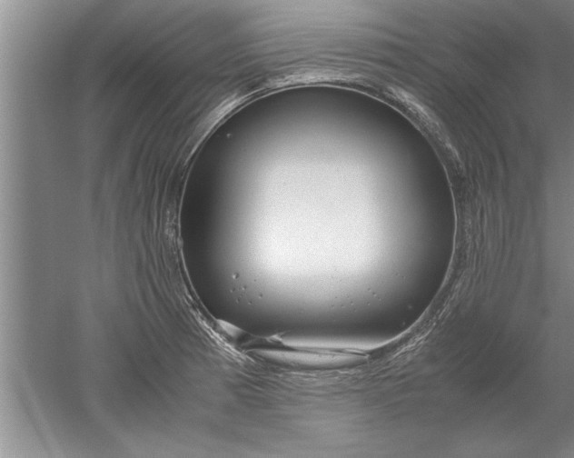 X0000052551185200507152152