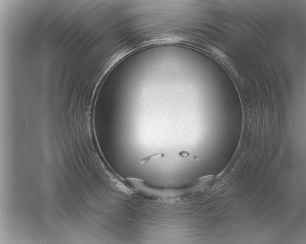 X0000052551186200507152152