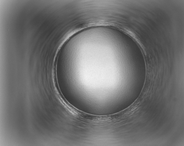 X0000052551187200507152152