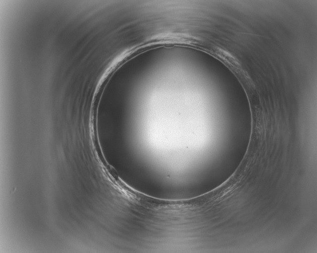 X0000052551188200507152151