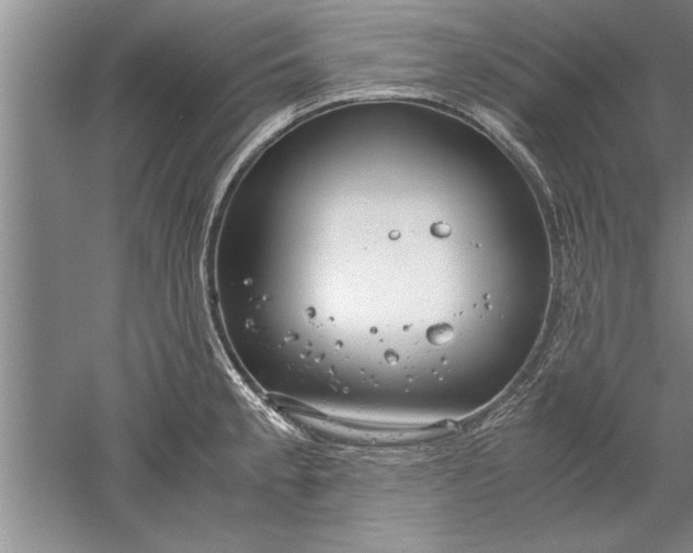 X0000052551189200507152151