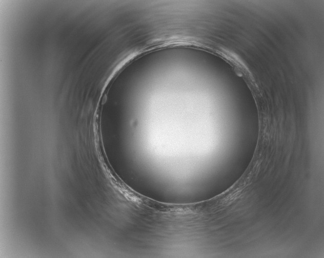 X0000052551190200507152151