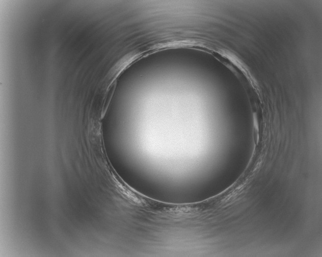 X0000052551193200507152151