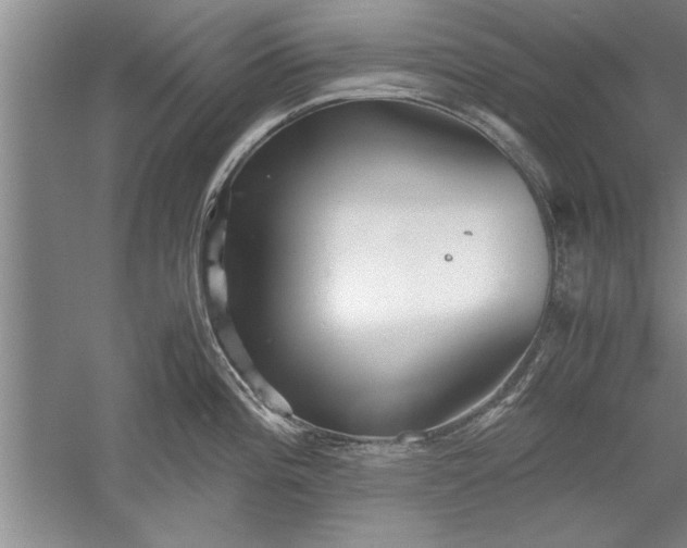 X0000052551196200507152151