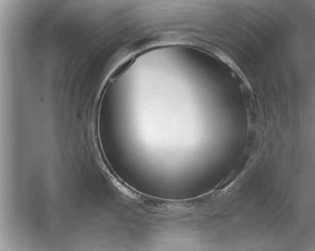 X0000052551197200507152151