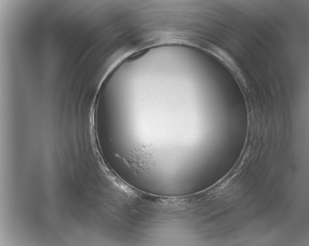 X0000052551198200507152151