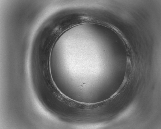 X0000052551199200507152151