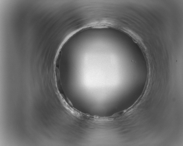 X0000052551200200507152151