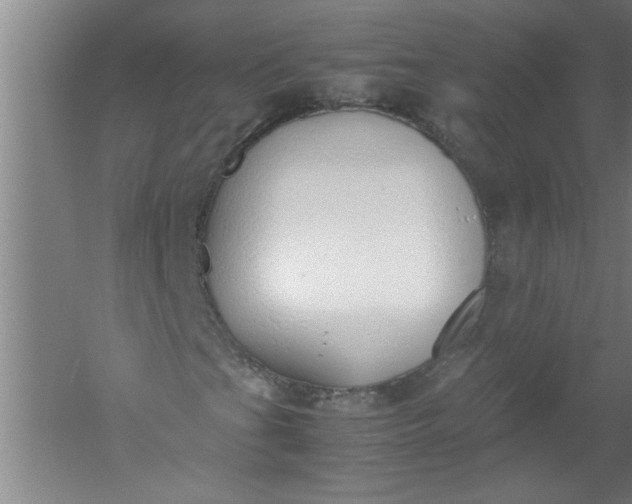 X0000052551201200507152150