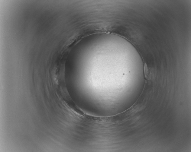 X0000052551202200507152150