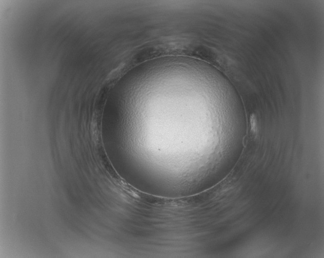 X0000052551203200507152151