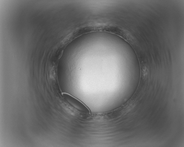 X0000052551204200507152151