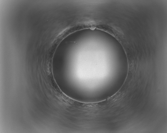 X0000052551205200507152151