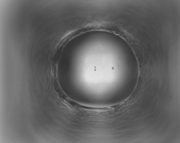 X0000052551206200507152151