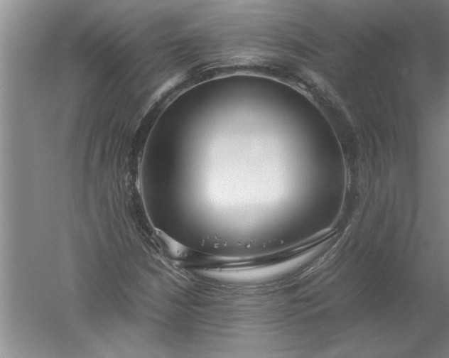 X0000052551210200507152151