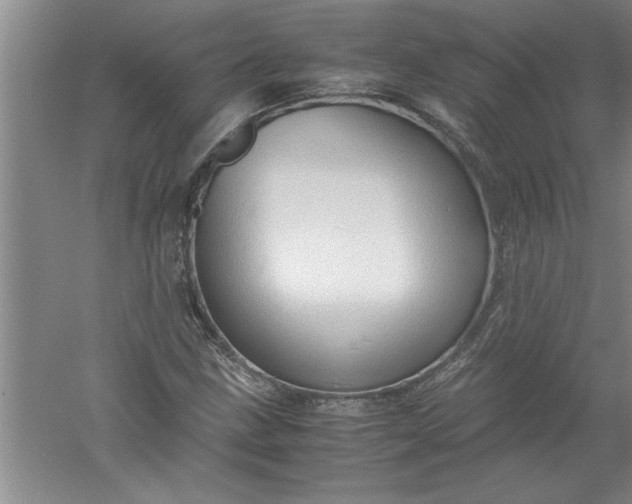 X0000052551211200507152151