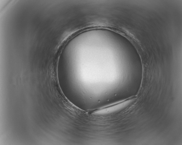 X0000052551215200507152151