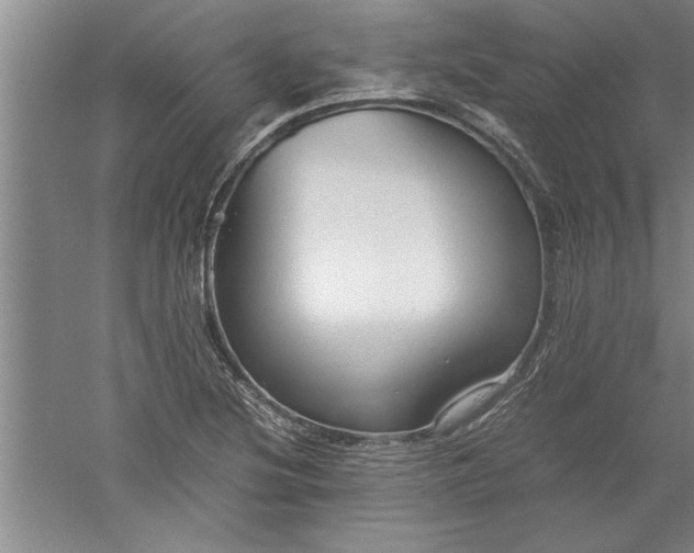 X0000052551220200507152151