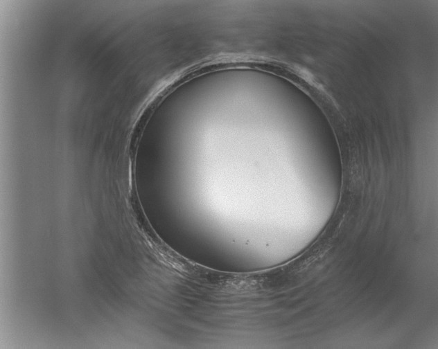 X0000052551221200507152151