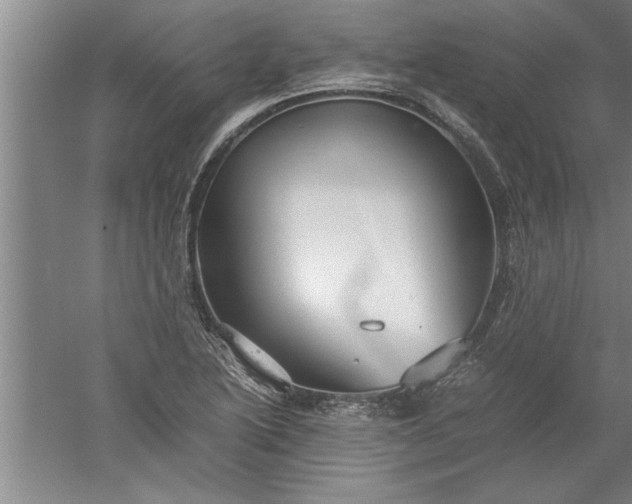 X0000052551222200507152151