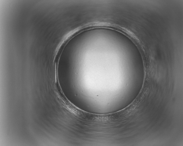 X0000052551223200507152151