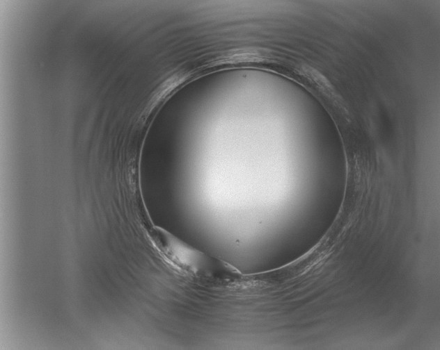 X0000052551225200507152151