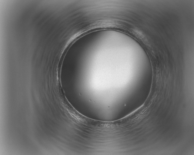 X0000052551226200507152151