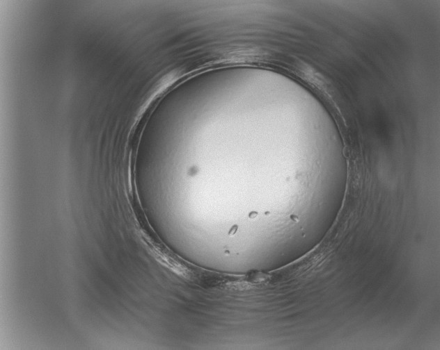 X0000052551227200507152151