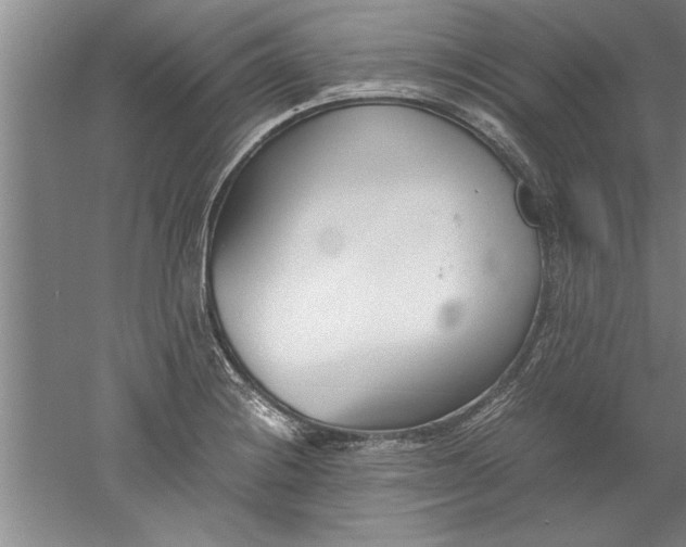 X0000052551228200507152151