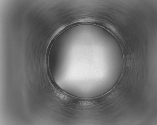 X0000052551229200507152151