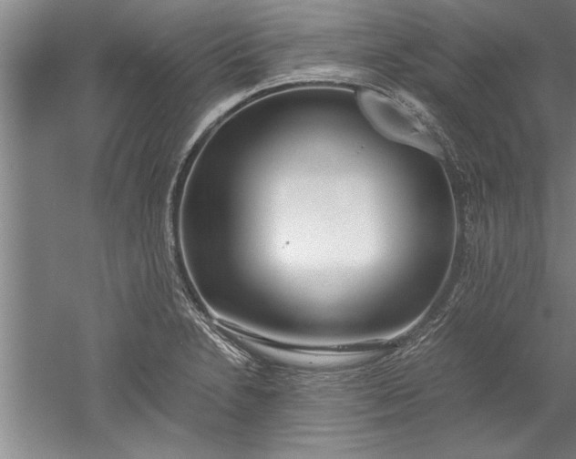 X0000052551230200507152151