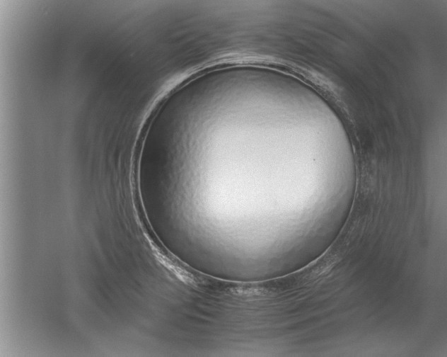 X0000052551231200507152151