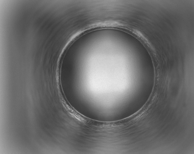 X0000052551232200507152151