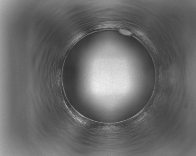 X0000052551233200507152151