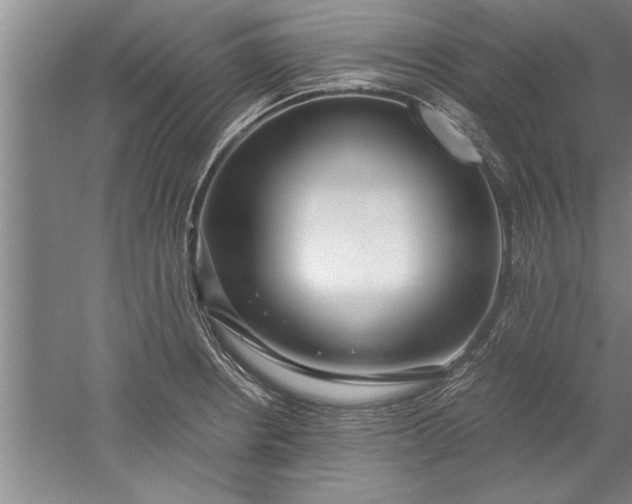 X0000052551234200507152151