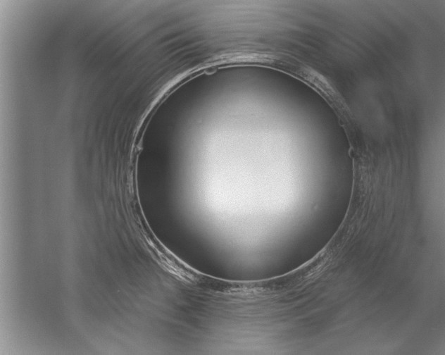 X0000052551236200507152151